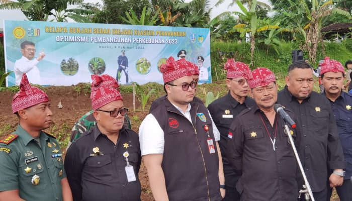 Antisipasi Krisis Pangan Global Kementan Kembali Gelar Penanaman Kelapa Genjah di Kediri