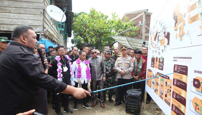 Kementan Pacu Pengembangan Kakao Berkelanjutan dan Tingkatkan Hilirisasi Kakao di Kolaka